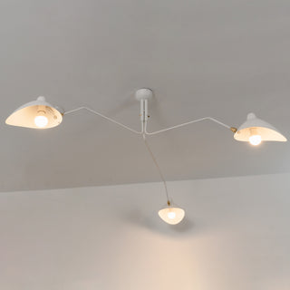 Multi-Arm Spider Ceiling Light