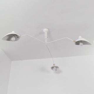 Multi-Arm Spider Ceiling Light
