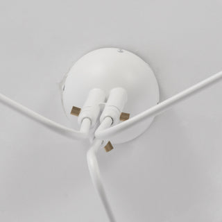 Multi-Arm Spider Ceiling Light