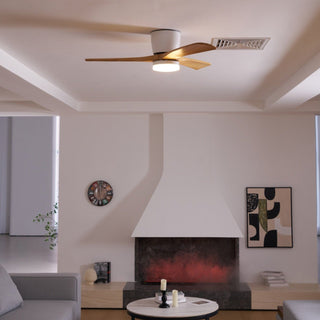 Miyam Kylo Ceiling Fan Light
