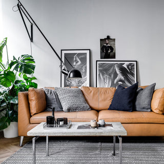 Parete Swing Arm Plug-In Wall Light