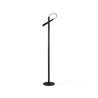 Pinpoint Adjustable Floor Lamp