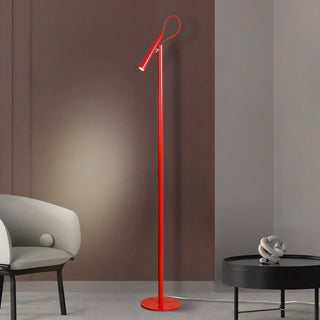 Pinpoint Adjustable Floor Lamp
