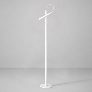 Pinpoint Adjustable Floor Lamp
