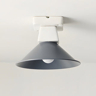 Plafonnier Atelier Ceiling Lamp