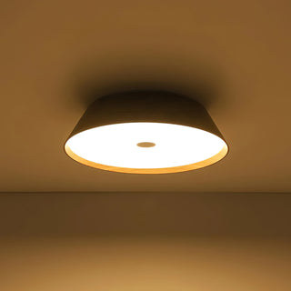 Rogu Wooden Ceiling Lamp