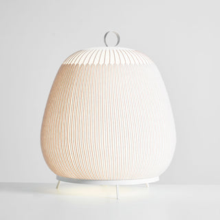 Textured Dome Lantern Table Lamp