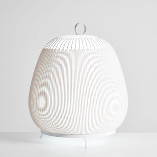 Textured Dome Lantern Table Lamp