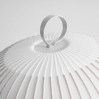 Textured Dome Lantern Table Lamp