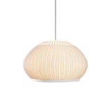Textured Dome Lantern Pendant Lamp