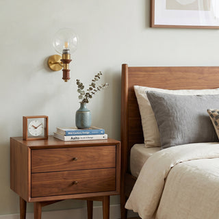 Theo Globe Wall Sconce