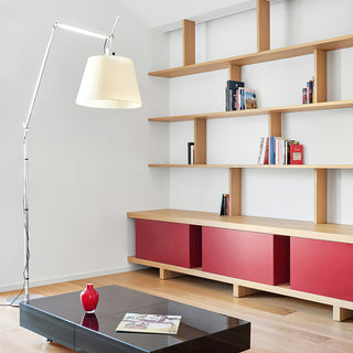 Tolomeo Swing Arm Floor Lamp