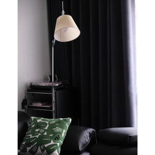 Tolomeo Swing Arm Floor Lamp