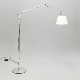 Tolomeo Swing Arm Floor Lamp