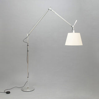 Tolomeo Swing Arm Floor Lamp