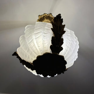 Velmira Shell Pendant Lamp