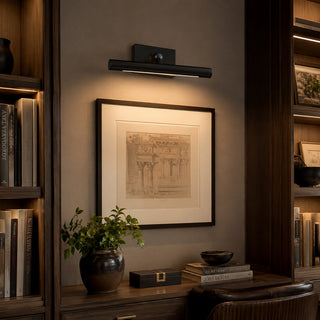 Vickel LED Picture Light